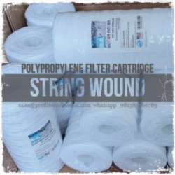 big blue string wound filter cartridge  large