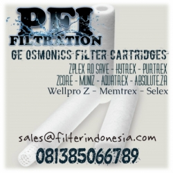 d GE Osmonics Purtrex Filter Cartridges Indonesia  large