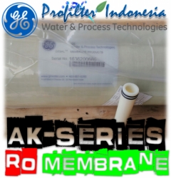 d d d d d d GE Osmonics AK Series RO Membrane Ultraviolet Indonesia  large